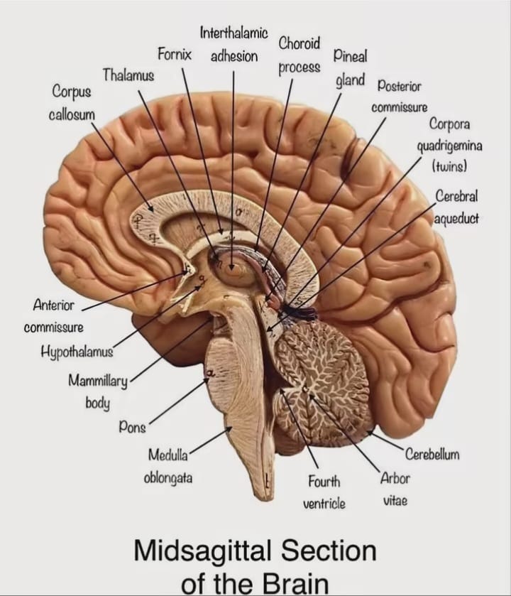 Aradhya Medical and Clinic
