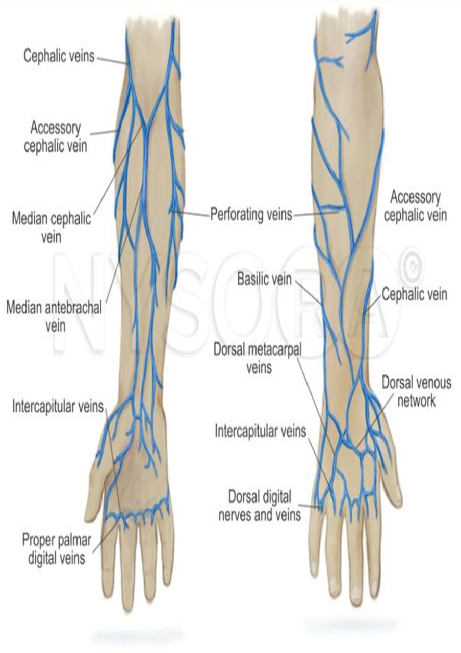 Aradhya Medical and Clinic