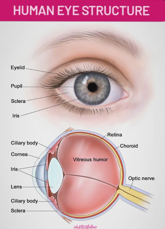 Aradhya Medical and Clinic