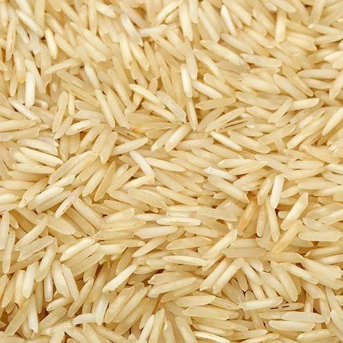 Dawood Export Import Opc Private Limited