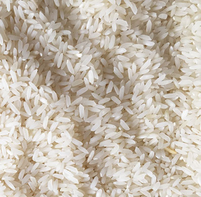 Dawood Export Import Opc Private Limited