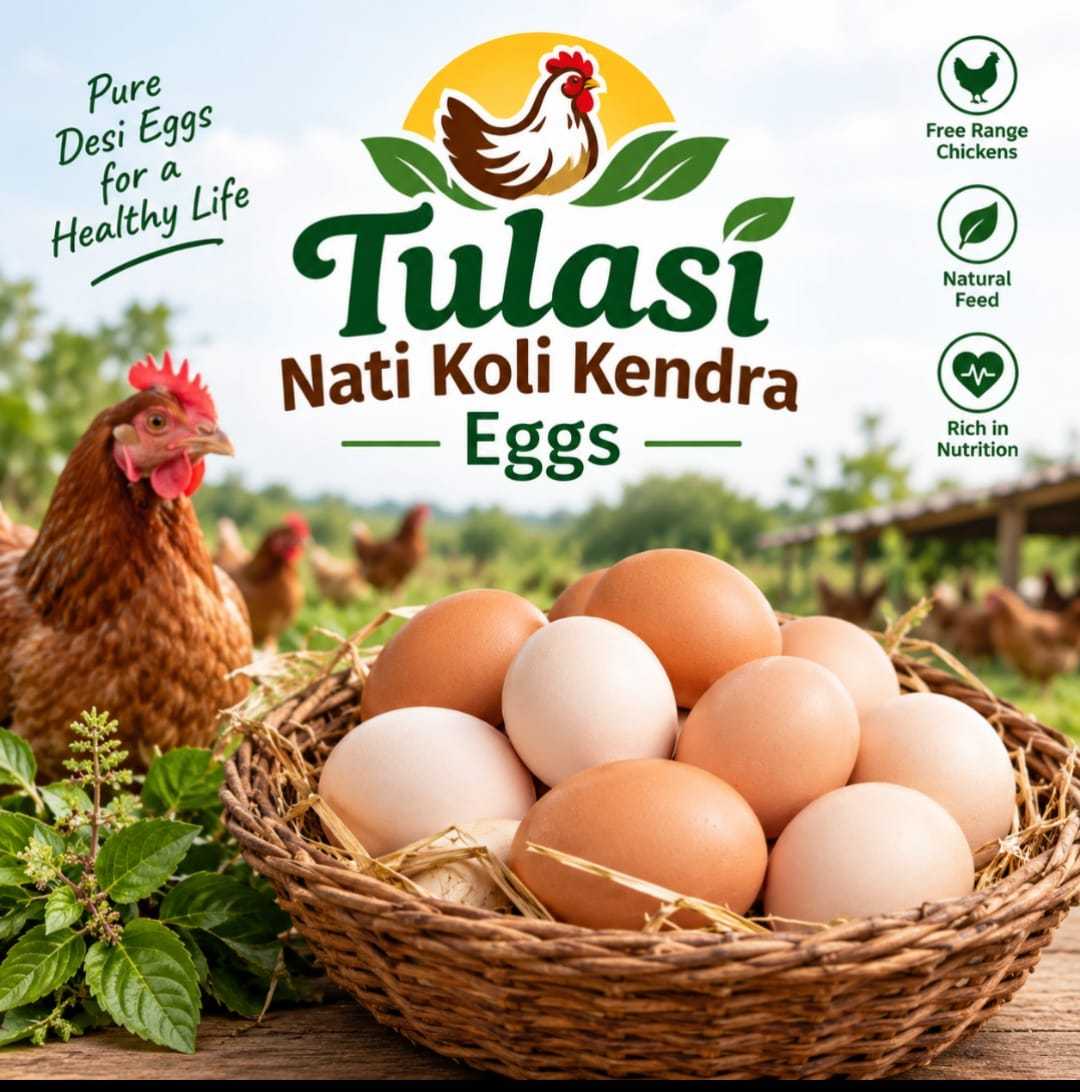 Tulasi Nati Koli Kendra Eggs - Image 1