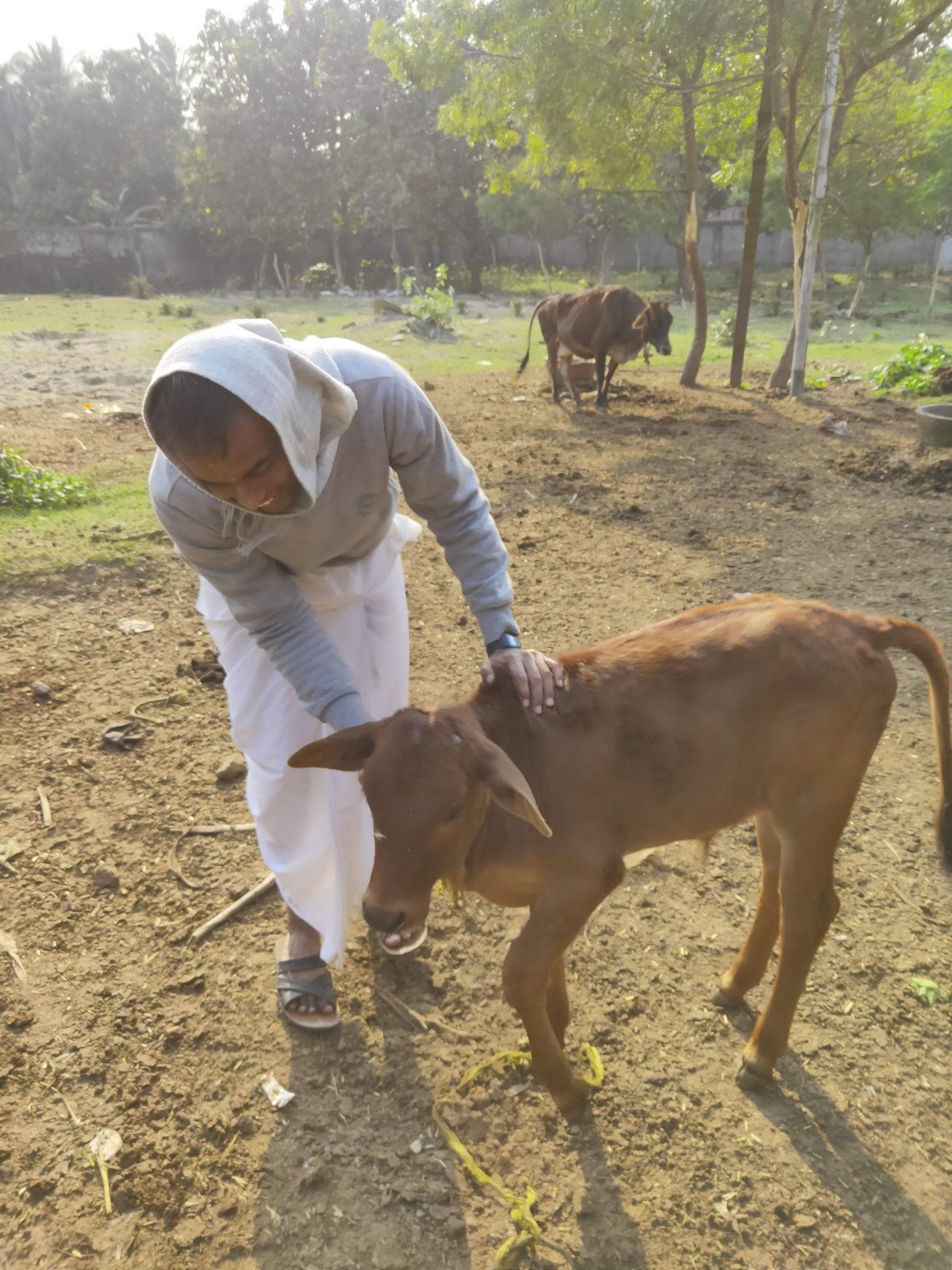 Govardhan Vaidic Village