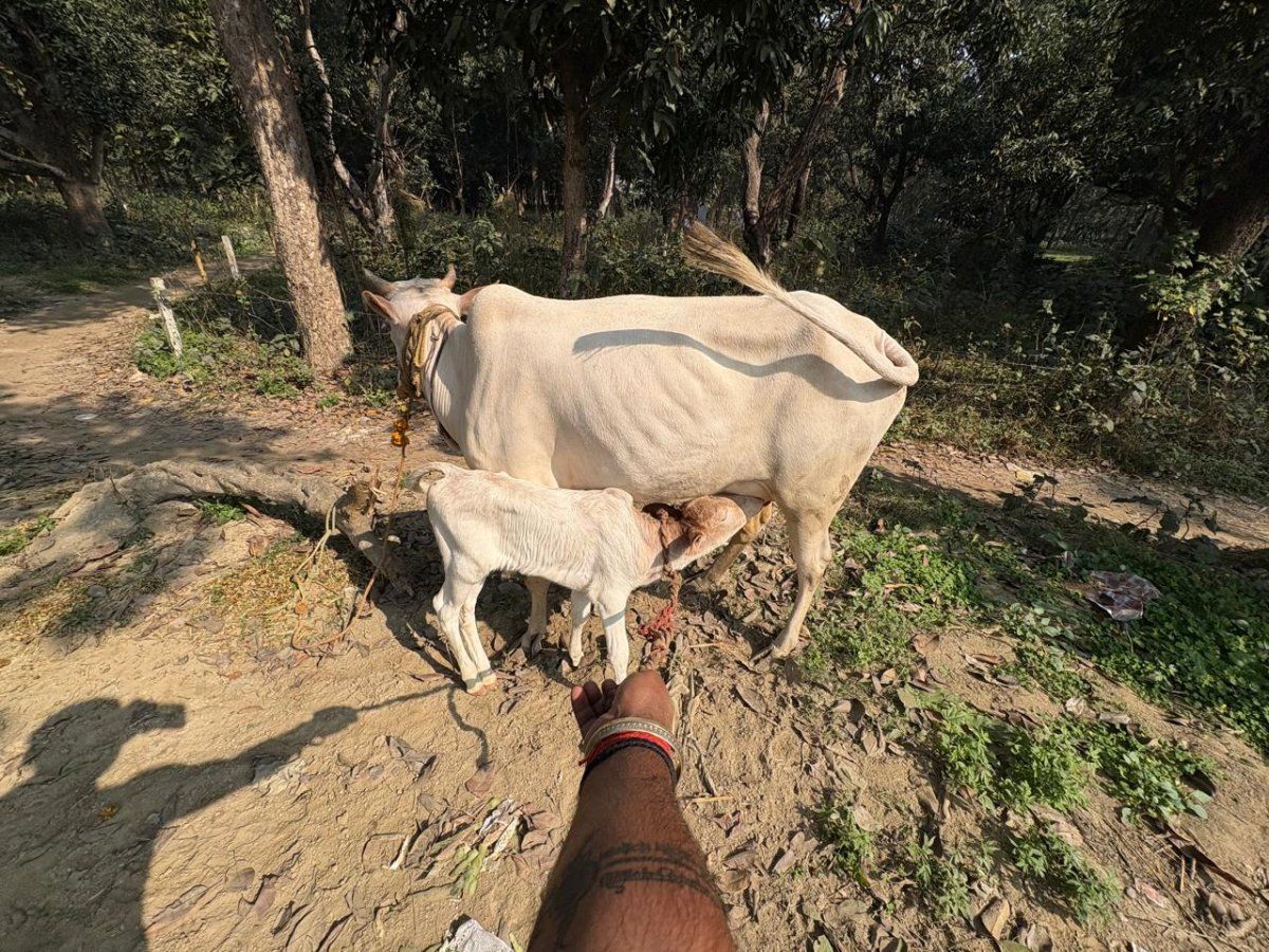 Govardhan Vaidic Village