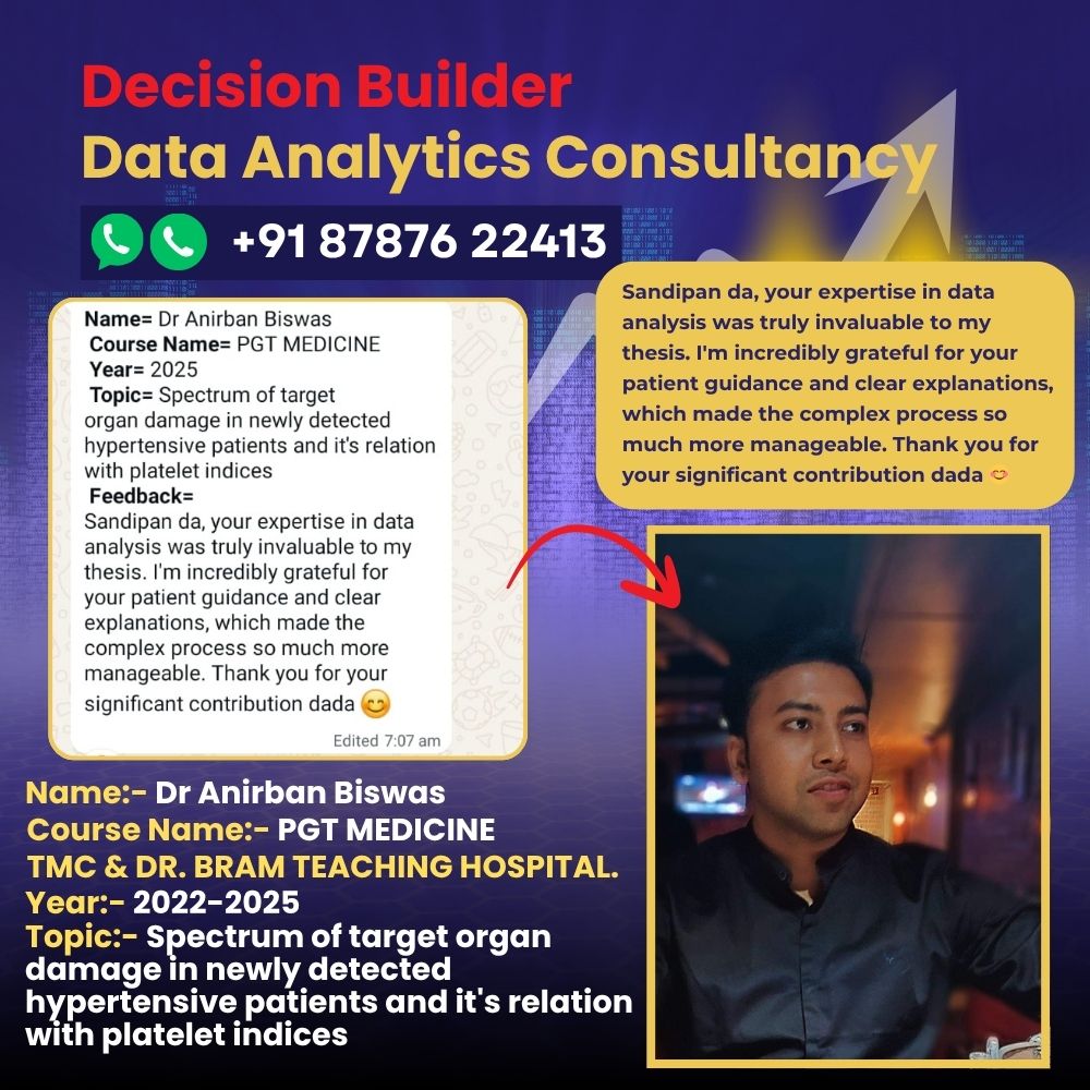 Decision Builder Data Analytics Consultancy
