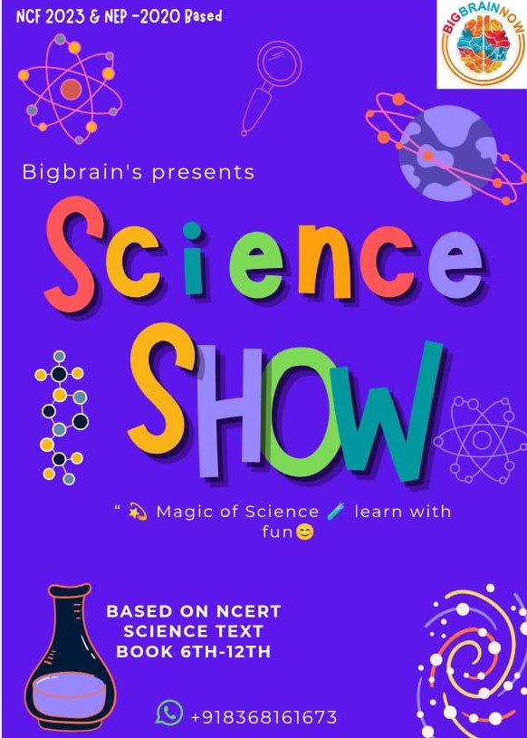 www.Bigbrainnow.com