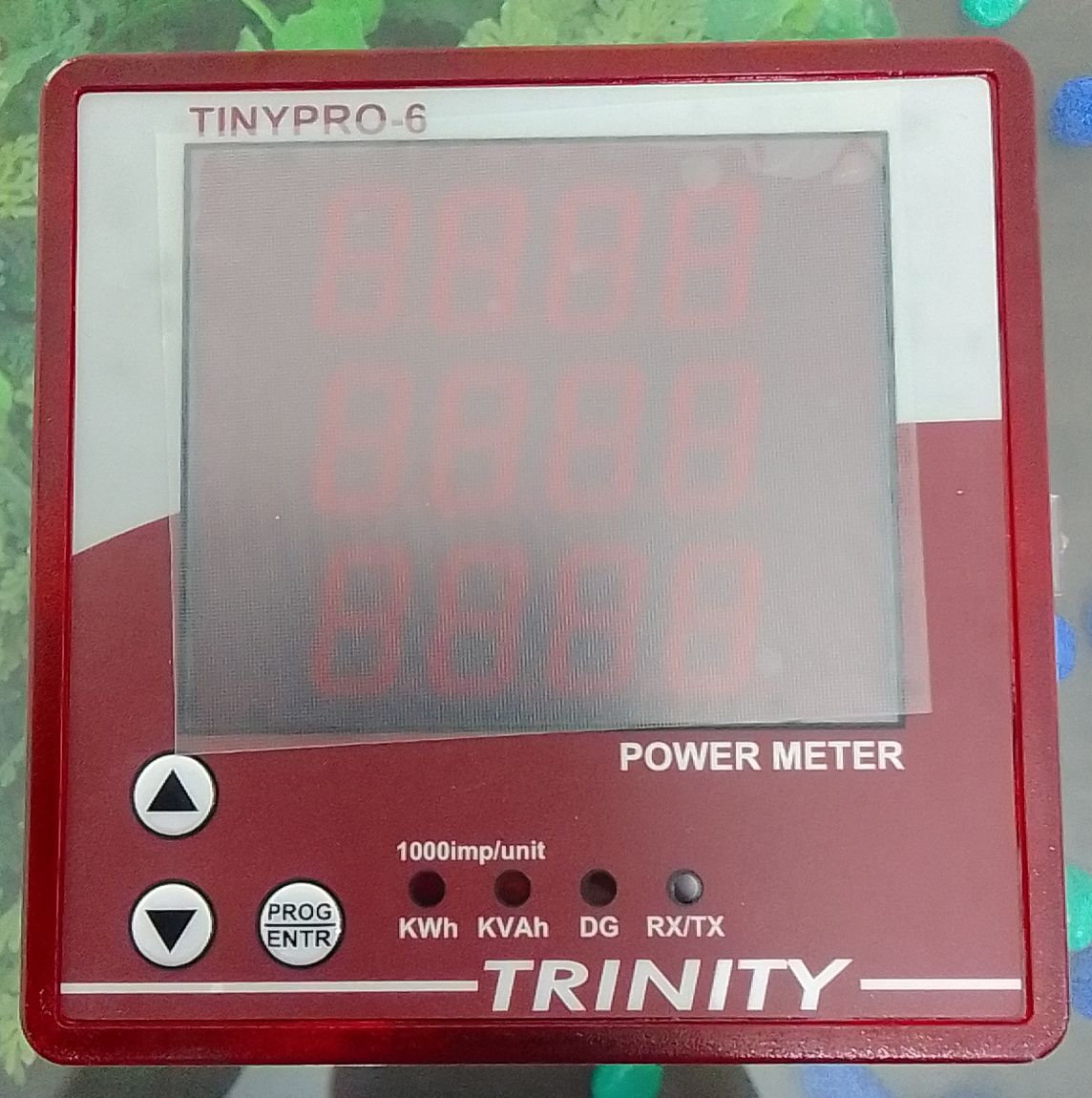1000335512.jpg