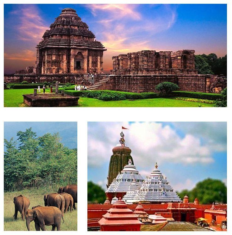 Jatnna Tour And Travels – Comfortable cab service