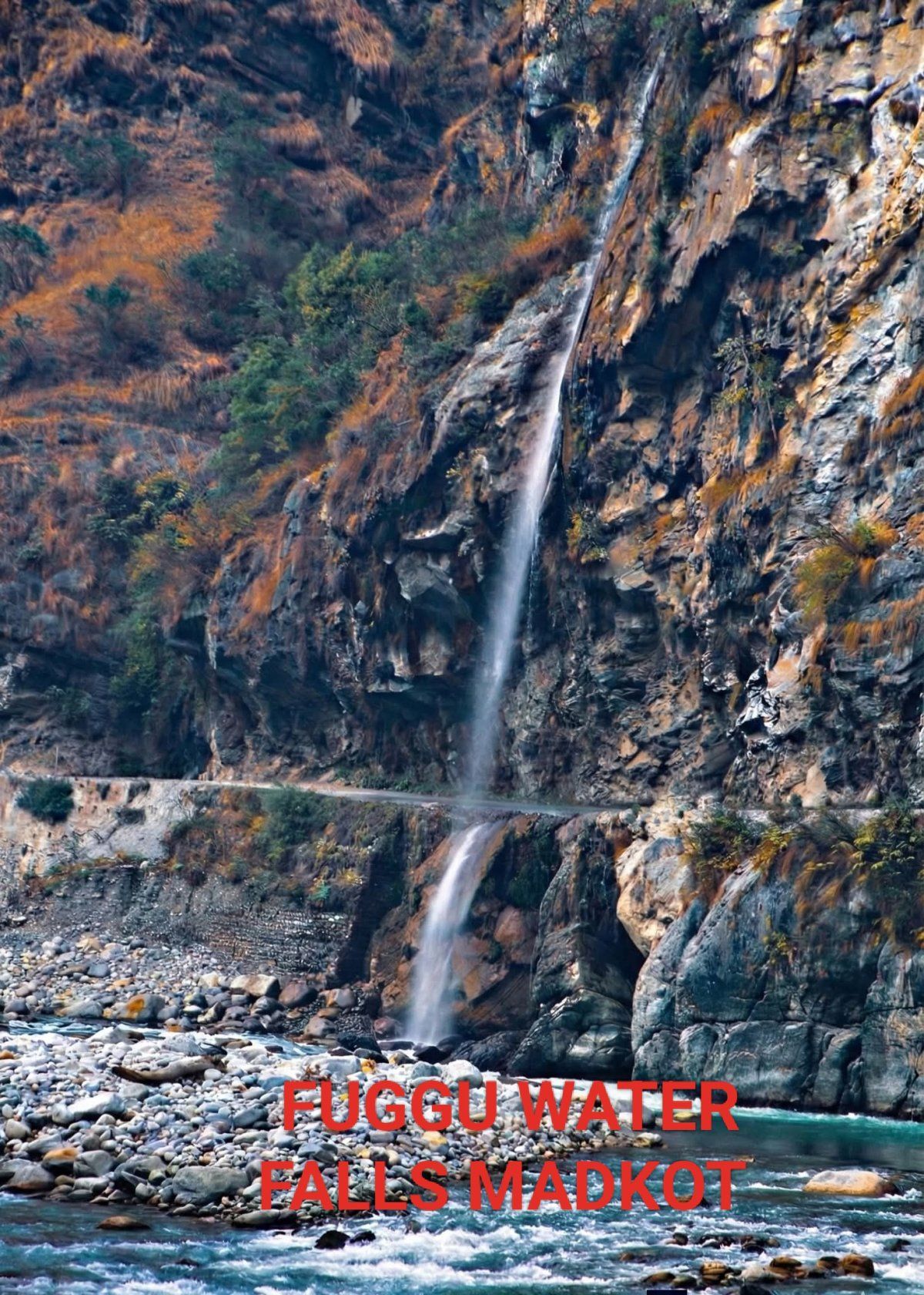 Mahi Tours And Travels