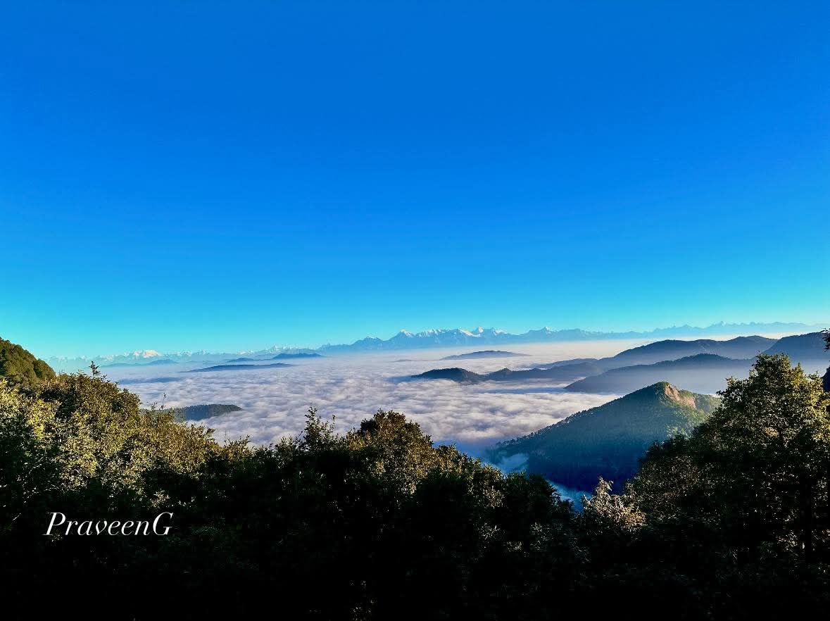 Mahi Tours And Travels