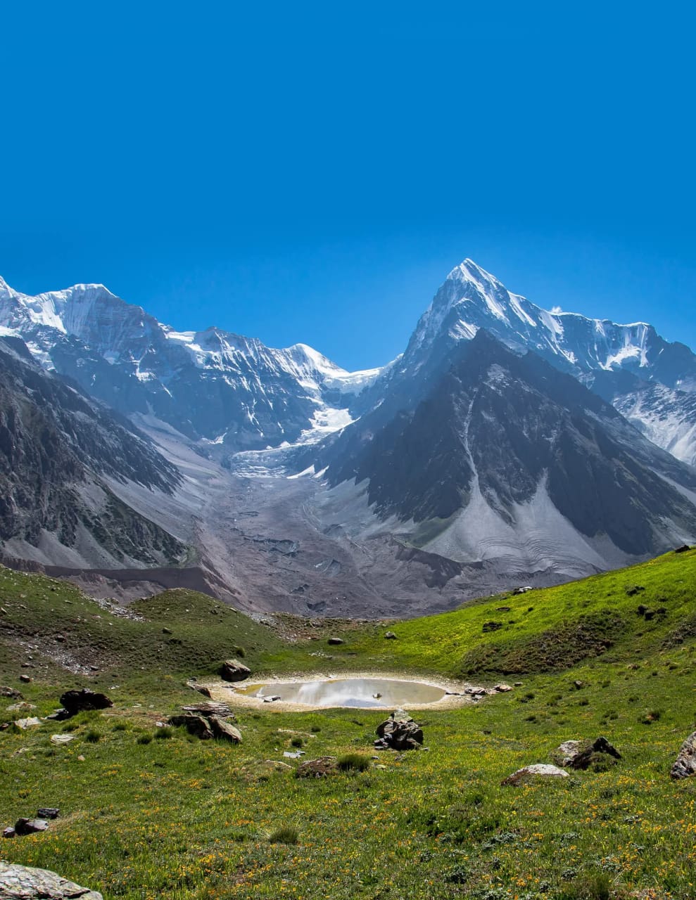 Mahi Tours And Travels