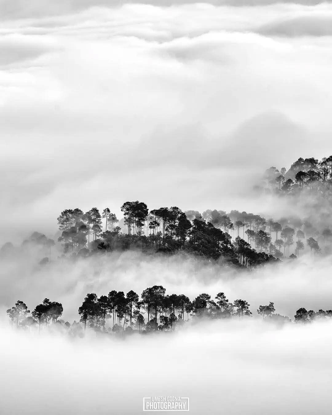 Mahi Tours And Travels