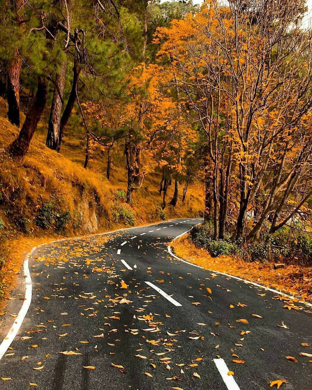 Mahi Tours And Travels