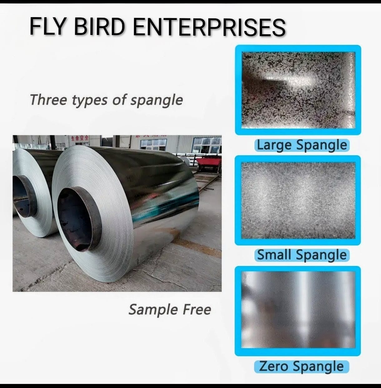 FLY BIRD ENTERPRISES -PUNE✓™©