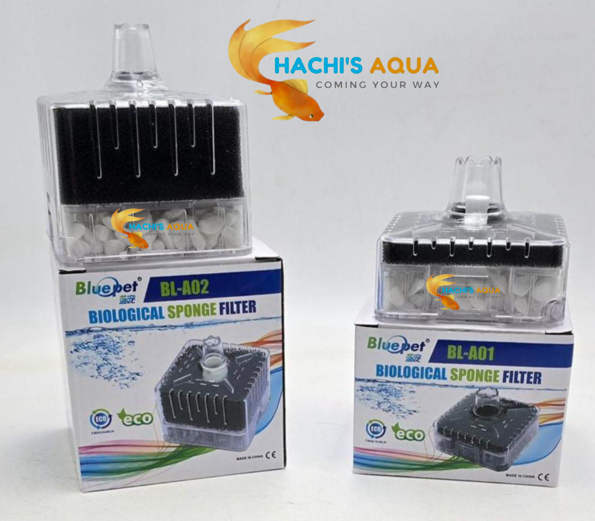 HACHI'S AQUA