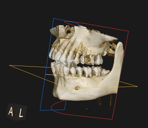 1001130371.jpg
