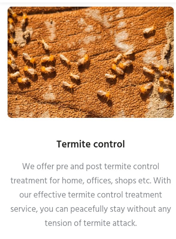 🌍 All Pest Solution - Eco-Friendly Pest Control Services 🌿