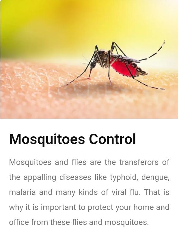 🌍 All Pest Solution - Eco-Friendly Pest Control Services 🌿