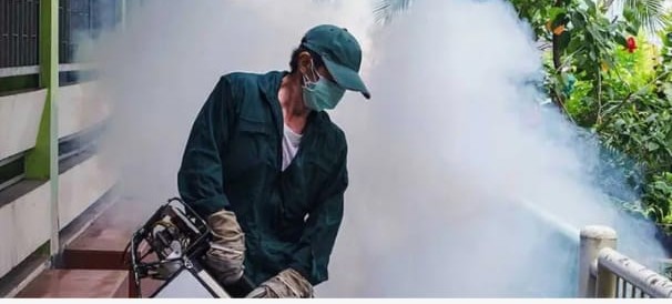 🌍 All Pest Solution - Eco-Friendly Pest Control Services 🌿