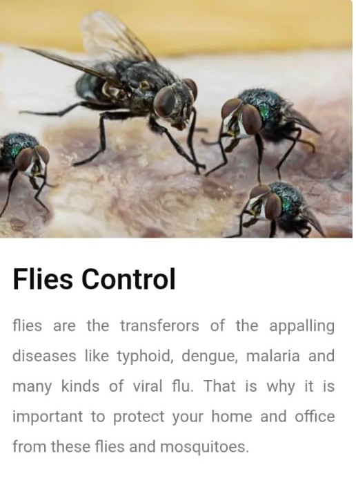 🌍 All Pest Solution - Eco-Friendly Pest Control Services 🌿