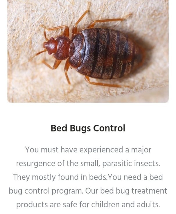 🌍 All Pest Solution - Eco-Friendly Pest Control Services 🌿