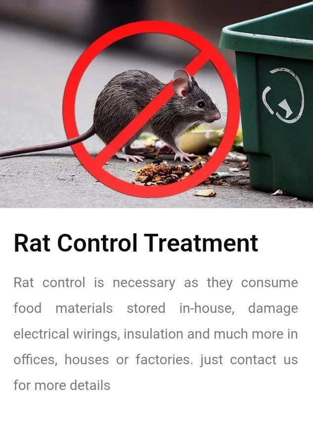 🌍 All Pest Solution - Eco-Friendly Pest Control Services 🌿