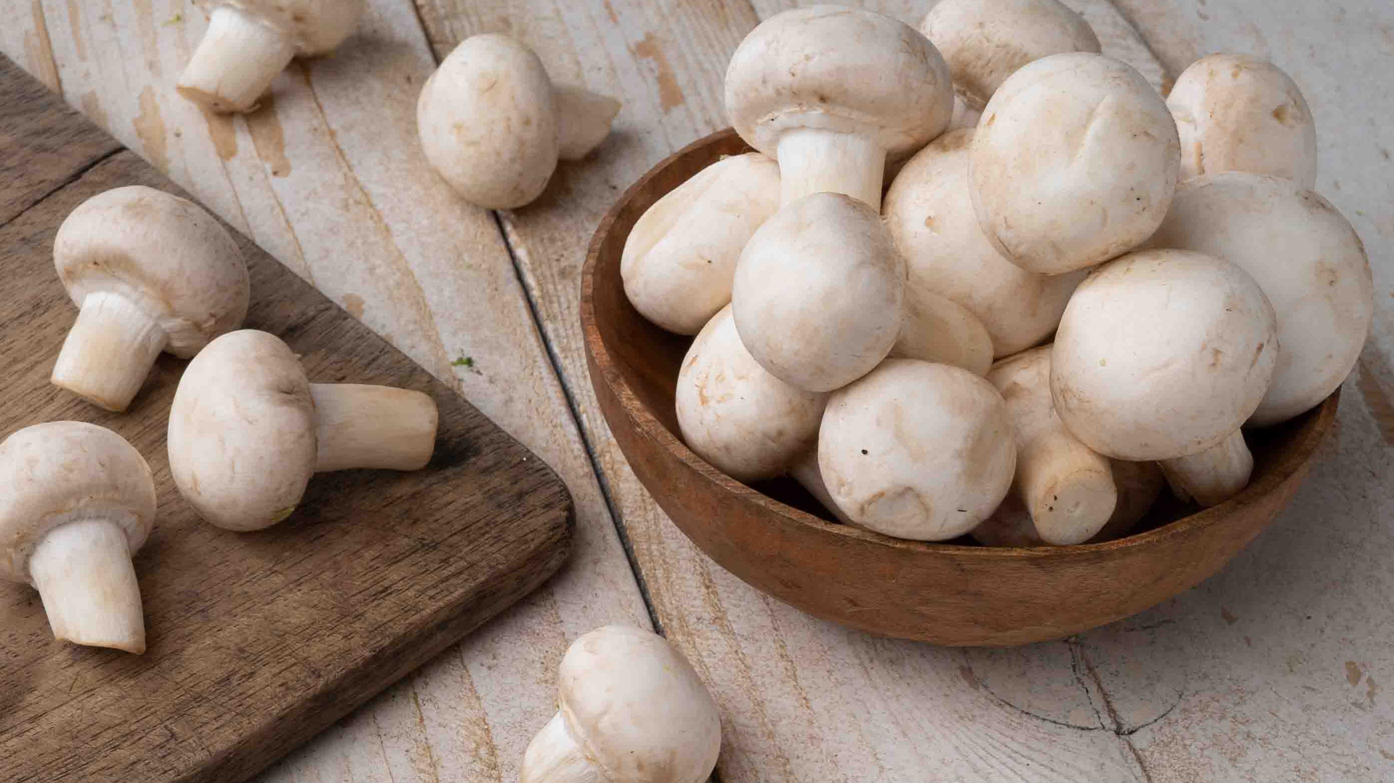 MUSHROOM