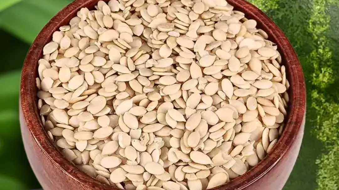 WATERMELON SEEDS
