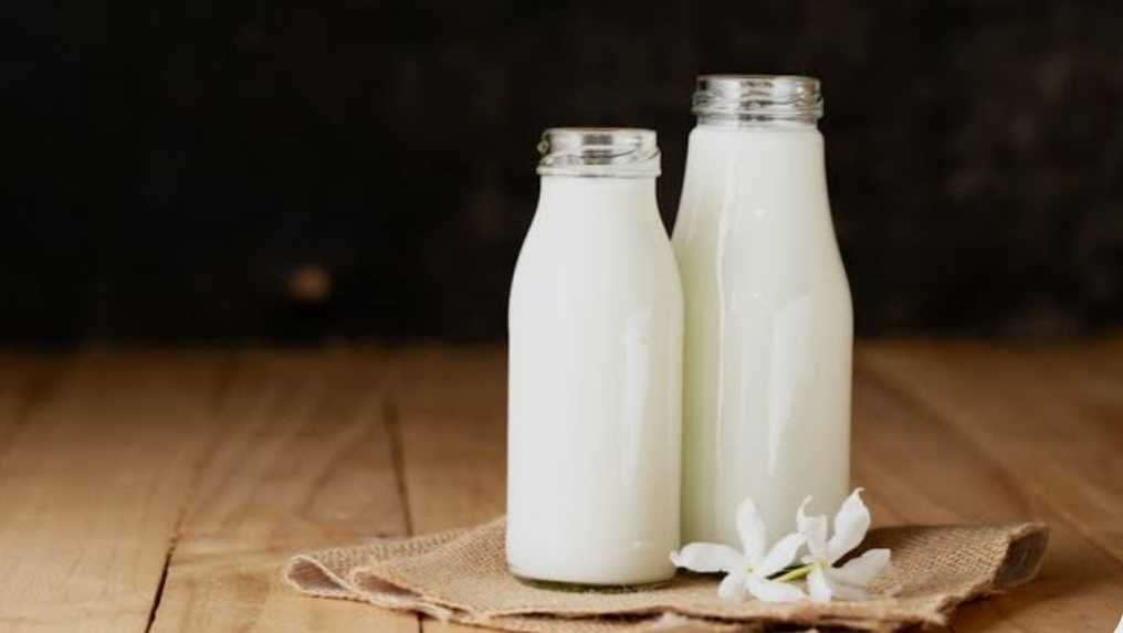 PURE A2 GIR GOW MILK