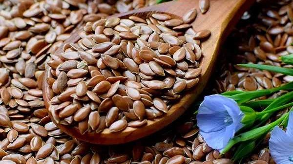 FLAX SEEDS