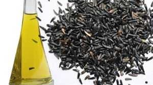 ORGANIC NIGER SEEDS OIL