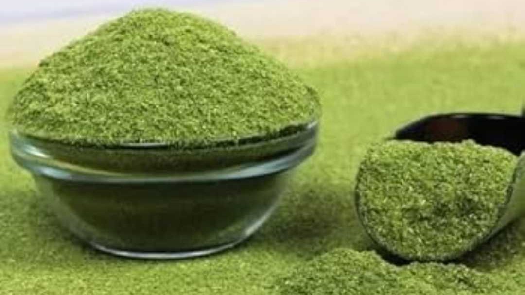 ORGANIC KASURI METHI POWDER