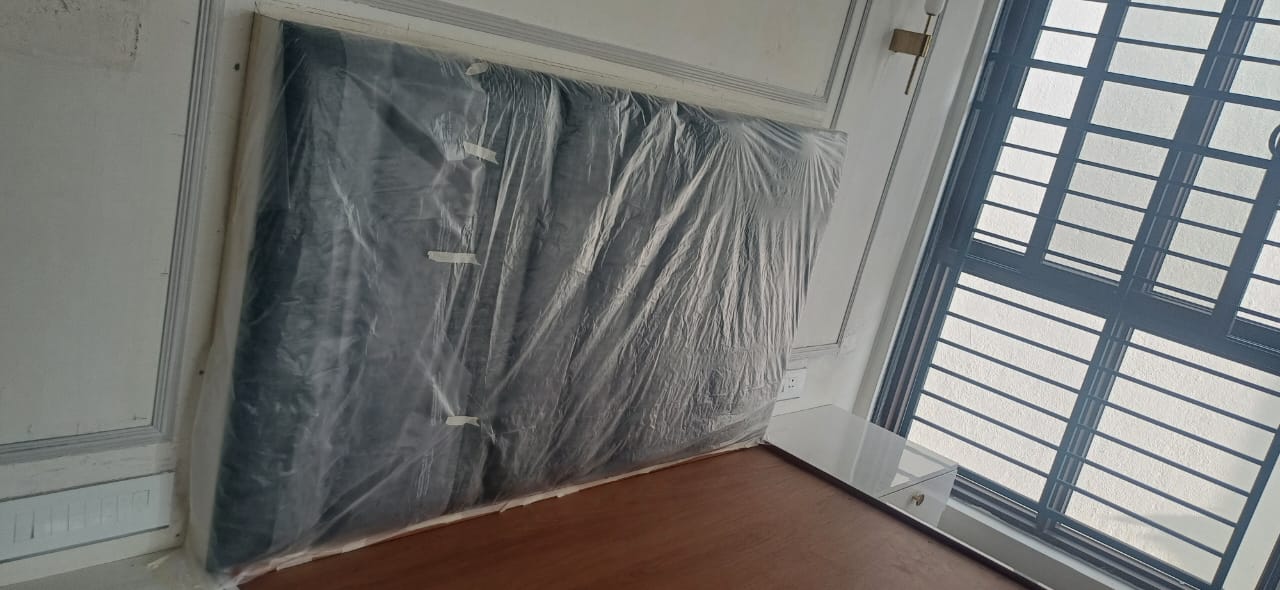 Gio Home Painting