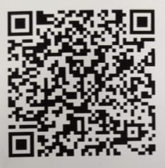 Roaming Nomads Travel