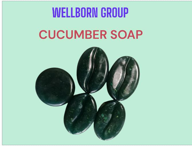 WELLBORN GROUP MANUFACTURING