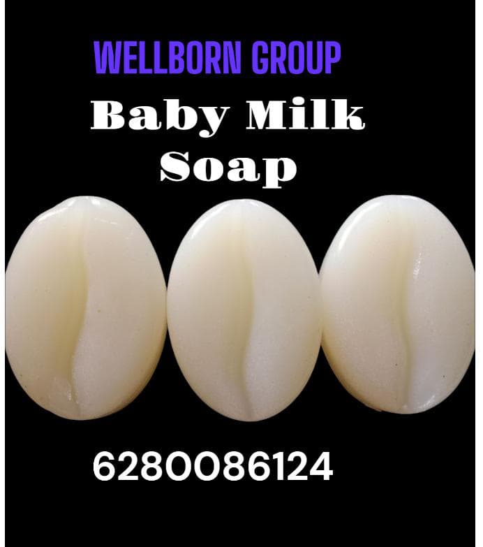 WELLBORN GROUP MANUFACTURING