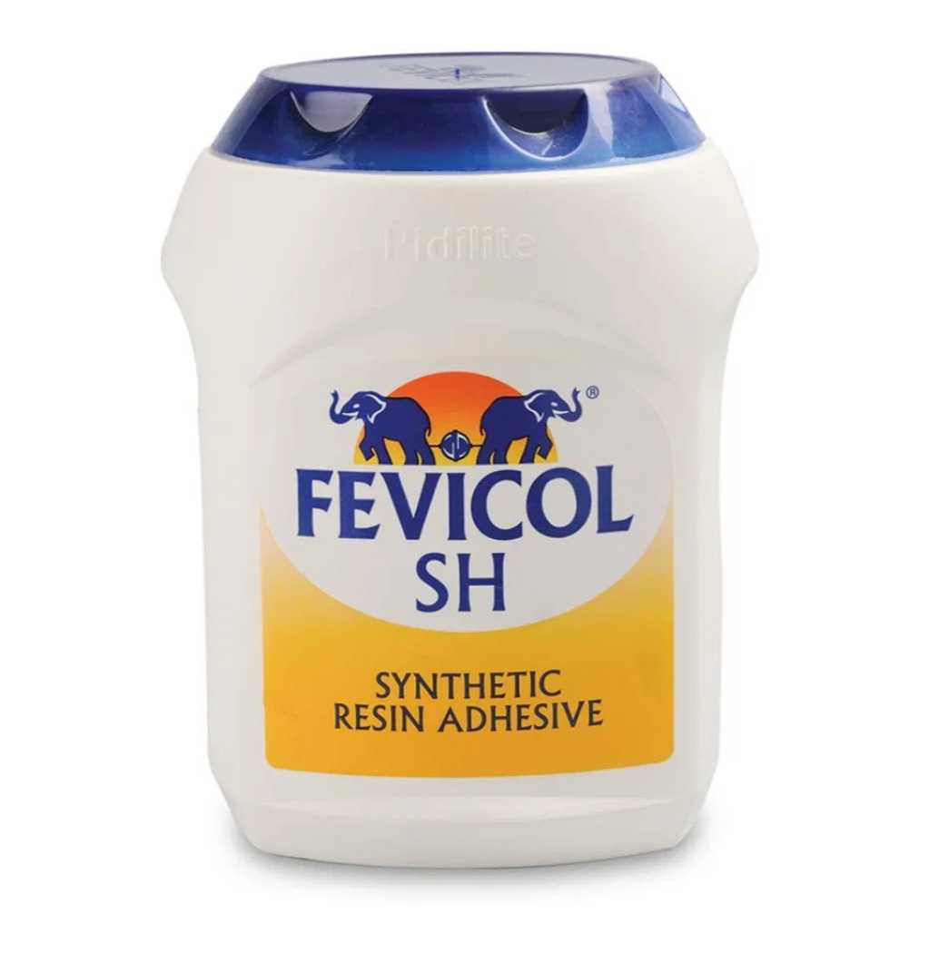 FEVICOl SH 250 gm - Image 1