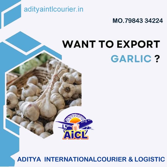 Aditya International Courier
