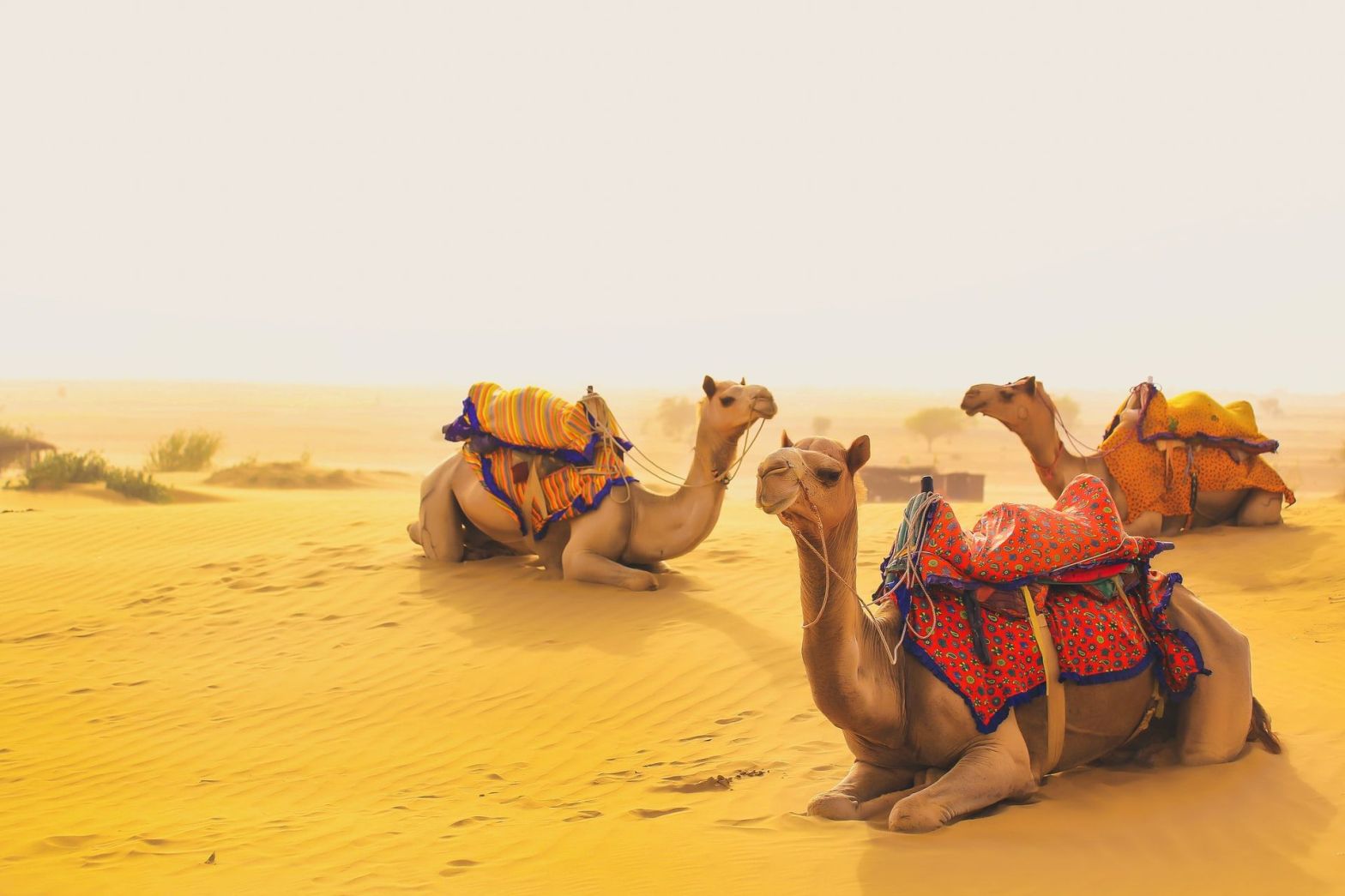 AAKASH TOUR & TRAVELS