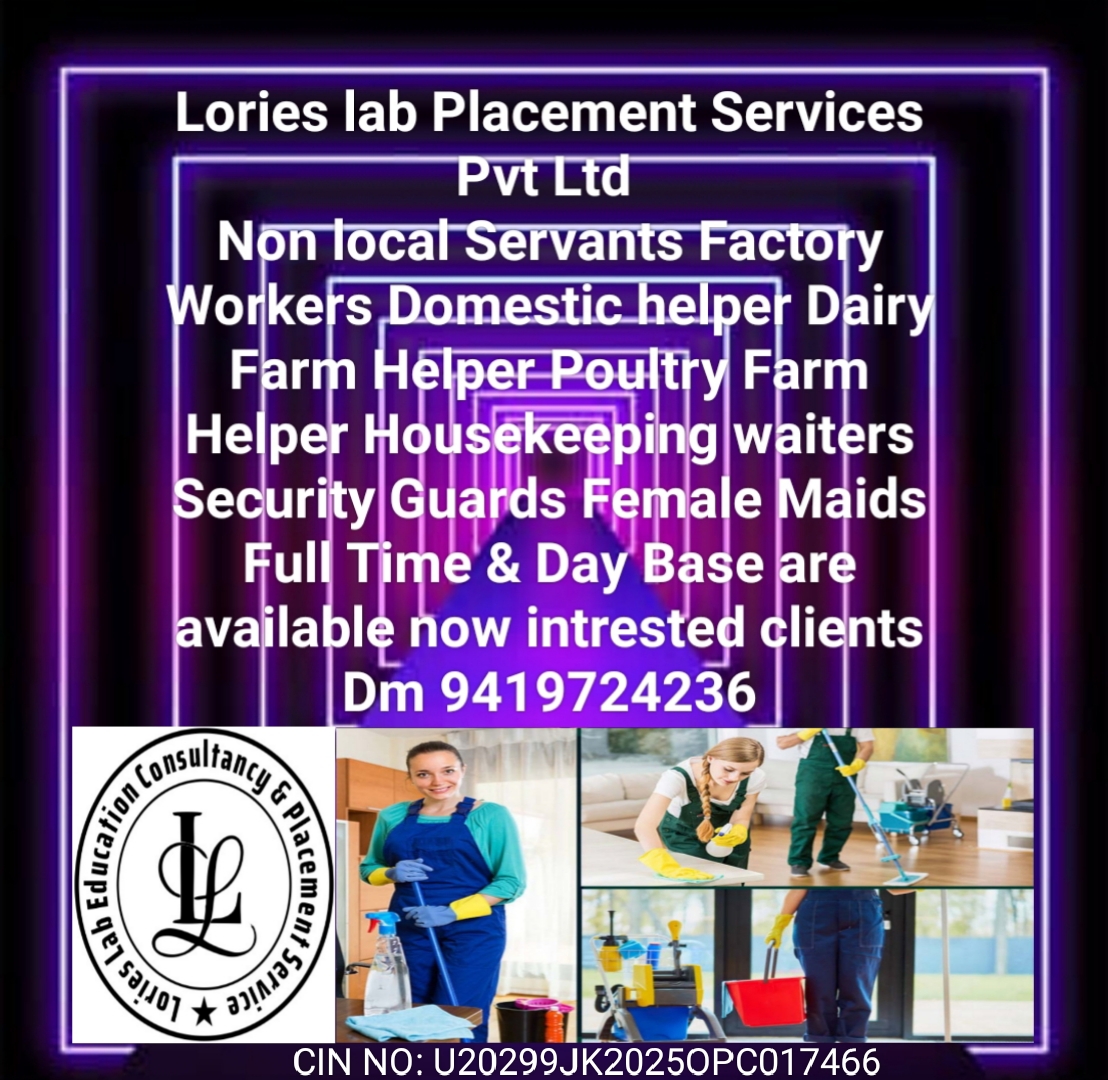 Lories Lab Education Consultancy And Placement Services Pvt Ltd