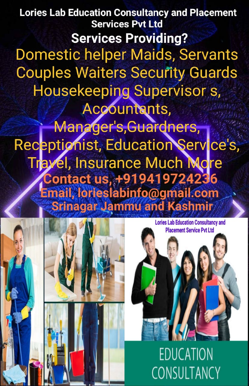 Lories Lab Education Consultancy And Placement Services Pvt Ltd