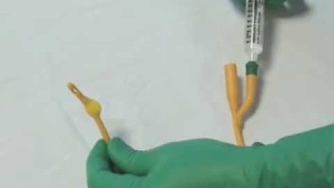 Urine Catheterization